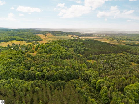 Tiny photo for 2216 W 16 Road, Mesick, MI 49668 (MLS # 1949899)