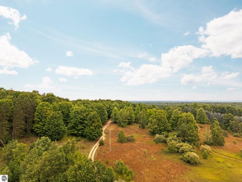 Tiny photo for 2216 W 16 Road, Mesick, MI 49668 (MLS # 1949899)