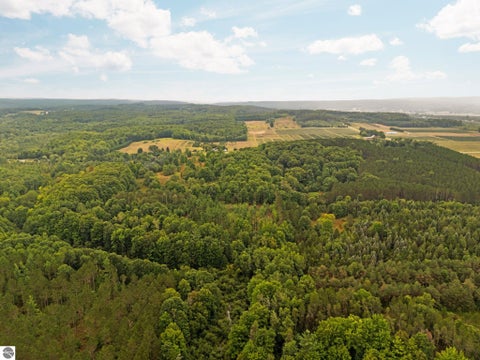 Tiny photo for 2216 W 16 Road, Mesick, MI 49668 (MLS # 1949899)