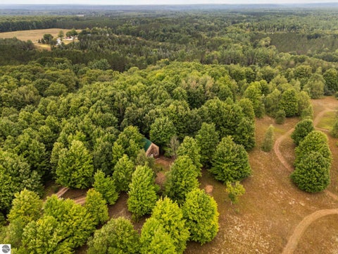 Tiny photo for 2216 W 16 Road, Mesick, MI 49668 (MLS # 1949899)