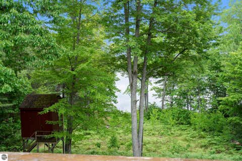 Tiny photo for 10477 NE Black Bear Road, Kalkaska, MI 49646 (MLS # 1945521)