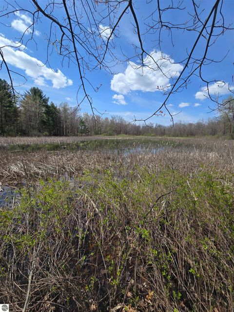 TBD E Baseline Road White Cloud MI 49349