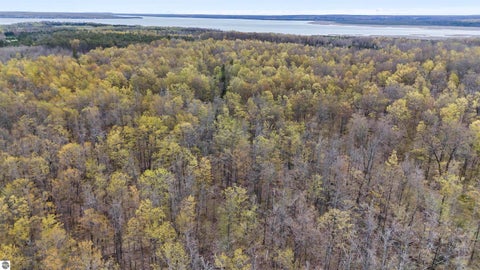 Tiny photo for 8055 Farrier Road, Hillman, MI 49746 (MLS # 1945141)