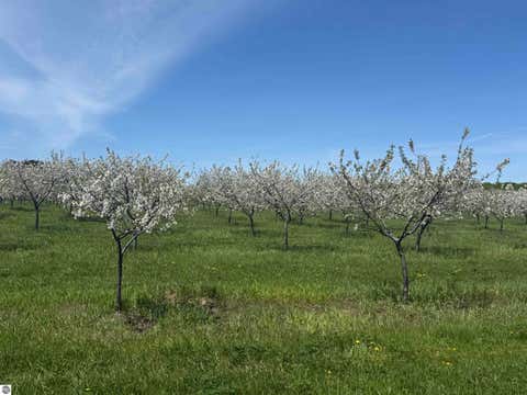 Tiny photo for 00 S Donnybrook Road, Suttons Bay, MI 49682 (MLS # 1946126)