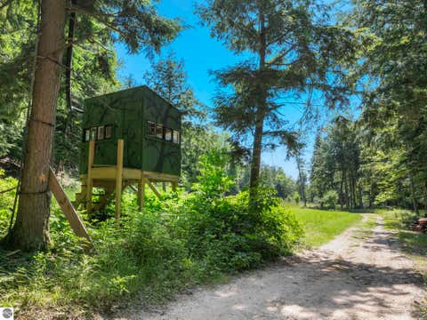 Tiny photo for 2881 E Aspen Drive, Cedar, MI 49621 (MLS # 1947792)