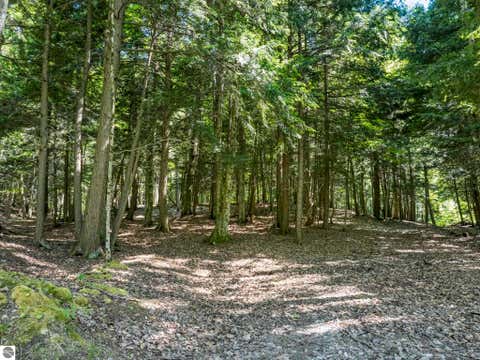 Tiny photo for 2881 E Aspen Drive, Cedar, MI 49621 (MLS # 1947792)