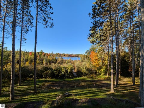 Photo of 3185 Miller Drive, Sears, MI 49679 (MLS # 1949939)