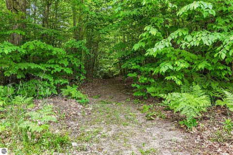 Tiny photo for 7346 Traverse Road, Thompsonville, MI 49683 (MLS # 1947413)