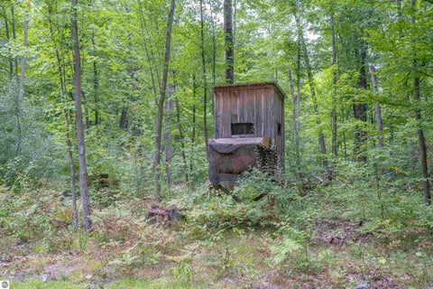 Tiny photo for 4760 E Howard City Edmore Road, Edmore, MI 48829 (MLS # 1950975)