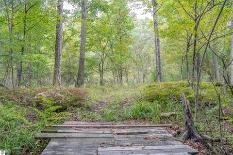 Tiny photo for 4760 E Howard City Edmore Road, Edmore, MI 48829 (MLS # 1950975)