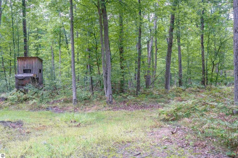 Tiny photo for 4760 E Howard City Edmore Road, Edmore, MI 48829 (MLS # 1950975)