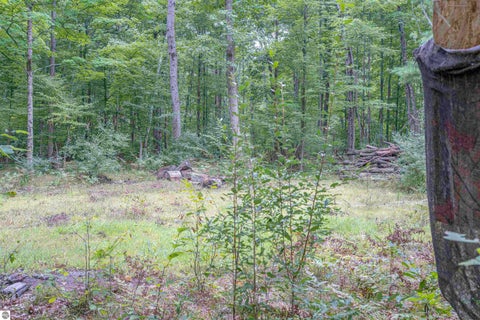 Tiny photo for 4760 E Howard City Edmore Road, Edmore, MI 48829 (MLS # 1950975)
