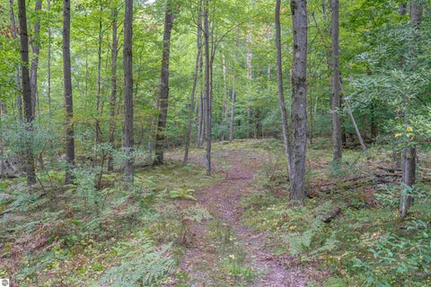 Tiny photo for 4760 E Howard City Edmore Road, Edmore, MI 48829 (MLS # 1950975)