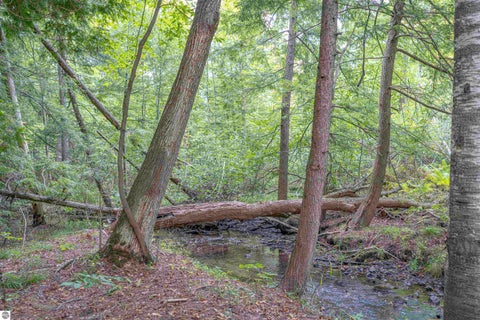Tiny photo for 4760 E Howard City Edmore Road, Edmore, MI 48829 (MLS # 1950975)