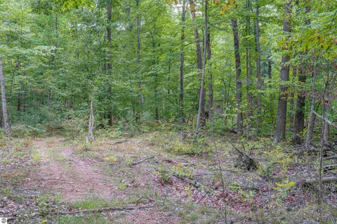 Tiny photo for 4760 E Howard City Edmore Road, Edmore, MI 48829 (MLS # 1950975)