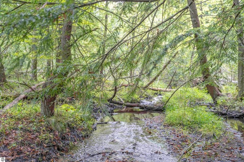 Tiny photo for 4760 E Howard City Edmore Road, Edmore, MI 48829 (MLS # 1950975)