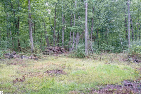 Tiny photo for 4760 E Howard City Edmore Road, Edmore, MI 48829 (MLS # 1950975)