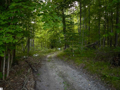 Tiny photo for 4760 E Howard City Edmore Road, Edmore, MI 48829 (MLS # 1950975)