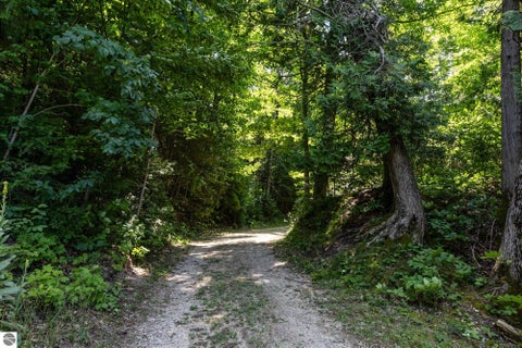 Tiny photo for 28095 Driftwood Court, Beaver Island, MI 49782 (MLS # 1949057)