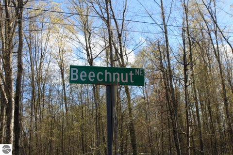 Tiny photo for 7939 NE Beechnut Street, Kalkaska, MI 49646 (MLS # 1945021)