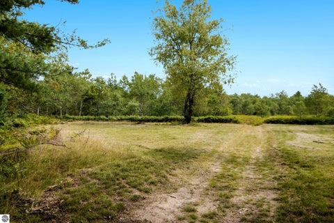 Tiny photo for 11533 Berry Lane, Mancelona, MI 49659 (MLS # 1950386)