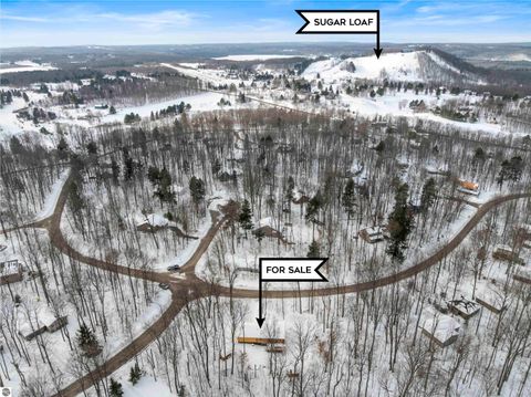 Tiny photo for 2558 E Sugar Maple, Cedar, MI 49621 (MLS # 1942332)