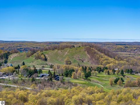 Tiny photo for 2558 E Sugar Maple, Cedar, MI 49621 (MLS # 1942332)