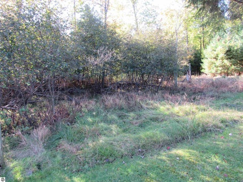 Tiny photo for 312 Lakewood Drive, East Tawas, MI 48730 (MLS # 1951348)