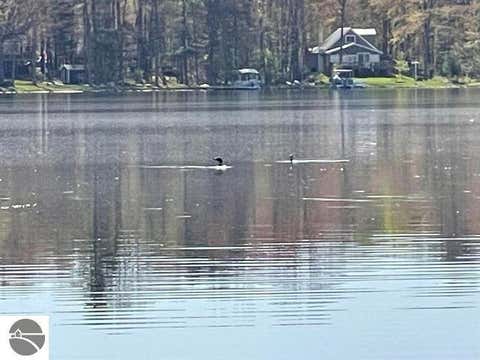 Tiny photo for 5644 Loranger Drive, Lake, MI 48632 (MLS # 1942279)