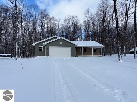 Tiny photo for 4326 Antioch Drive, Mesick, MI 49668 (MLS # 1941582)