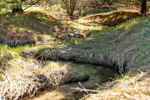 Tiny photo for 4639 Fouch Road, Grawn, MI 49637 (MLS # 1944192)