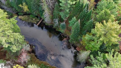 Tiny photo for 6051 N Manistee River Road, Frederic, MI 49733 (MLS # 1941689)