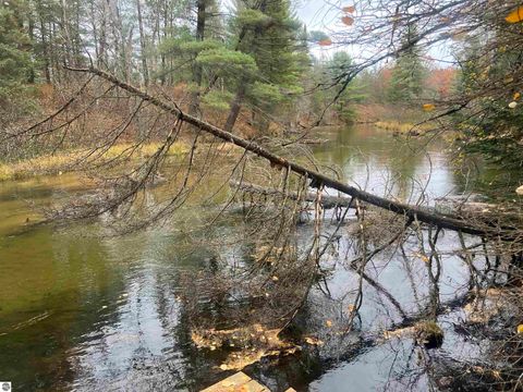 Tiny photo for 6051 N Manistee River Road, Frederic, MI 49733 (MLS # 1941689)