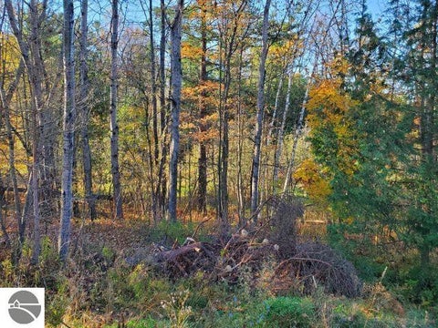 Tiny photo for 35 S Townline, Whittemore, MI 48770 (MLS # 1951841)