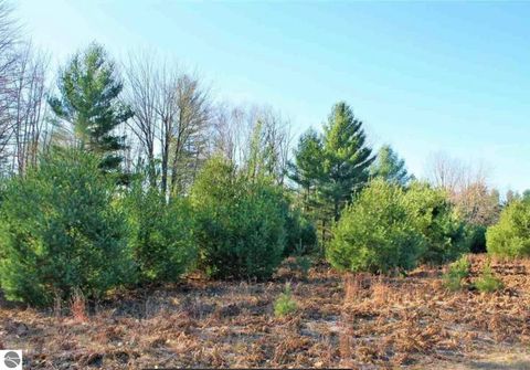 Tiny photo for 312 Blue Heron Drive, Kalkaska, MI 49646 (MLS # 1944163)