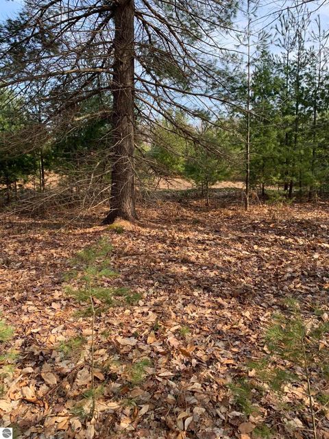 Tiny photo for 312 Blue Heron Drive, Kalkaska, MI 49646 (MLS # 1944163)