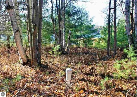 Tiny photo for 312 Blue Heron Drive, Kalkaska, MI 49646 (MLS # 1944163)