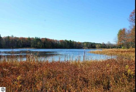 Photo of 312 Blue Heron Drive, Kalkaska, MI 49646 (MLS # 1944163)