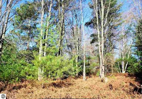 Tiny photo for 312 Blue Heron Drive, Kalkaska, MI 49646 (MLS # 1944163)
