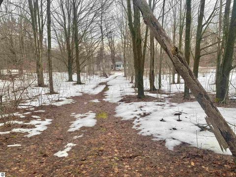 Tiny photo for 1201 Bailey Street, Beulah, MI 49616 (MLS # 1942813)