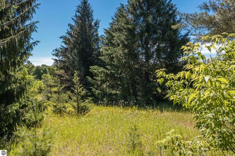 Tiny photo for 1343 E Sparling Road, Kingsley, MI 49649 (MLS # 1946774)