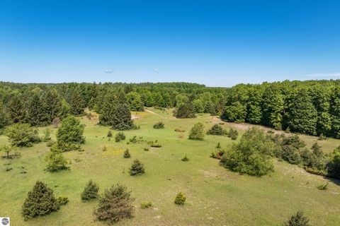 Tiny photo for 1343 E Sparling Road, Kingsley, MI 49649 (MLS # 1946774)