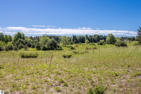 Tiny photo for 1343 E Sparling Road, Kingsley, MI 49649 (MLS # 1946774)