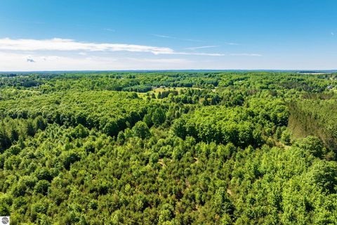 Tiny photo for 1343 E Sparling Road, Kingsley, MI 49649 (MLS # 1946774)