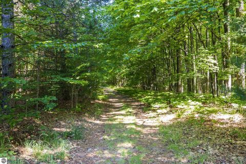 Tiny photo for 1343 E Sparling Road, Kingsley, MI 49649 (MLS # 1946774)
