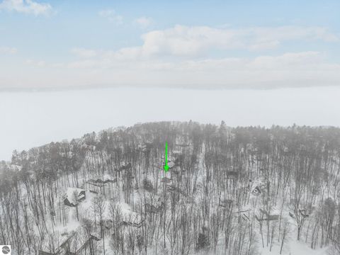 Tiny photo for 8225 Elm Drive, Traverse City, MI 49685 (MLS # 1941801)