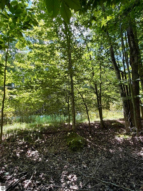 Tiny photo for 00 Shawnee Trail, Kewadin, MI 49648 (MLS # 1949729)