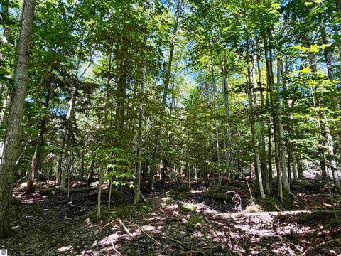 Tiny photo for 00 Shawnee Trail, Kewadin, MI 49648 (MLS # 1949729)