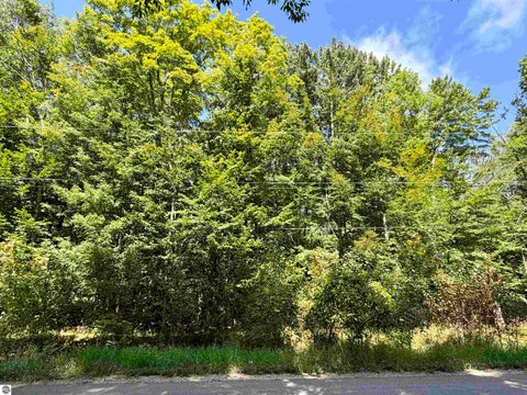 Tiny photo for 00 Shawnee Trail, Kewadin, MI 49648 (MLS # 1949729)