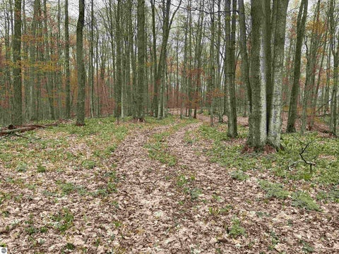 Featured picture for the property 1944909